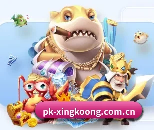 平台简介 - 体育资讯内容服务 | xingkong