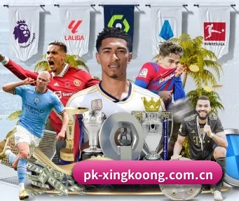 pk-xingkoong.com.cn APP(xingkong)