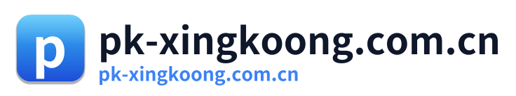 pk-xingkoong.com.cn